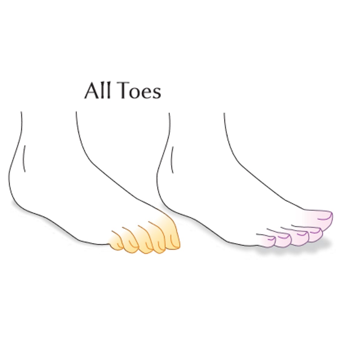 Thumbnail for TicTacToes: Assessing Toe Movements as an Input Modality